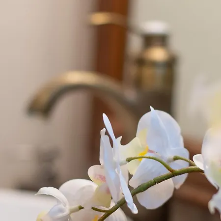 Сasa de vacaciones 6br Fire House Sanctuary-terrace & Barbacue