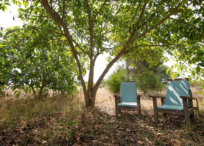 6br Fire House Sanctuary-terrace & Barbacue Feriehus *